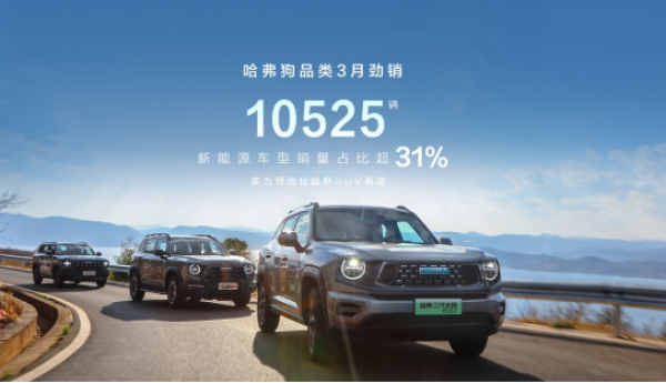全能实力，销量斐然 哈弗大狗品类3月劲销10525辆