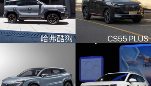 平平无奇家用车VS哈弗酷狗品质“精装修”，品质生活你选谁？